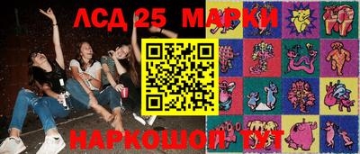 стафф Донецк