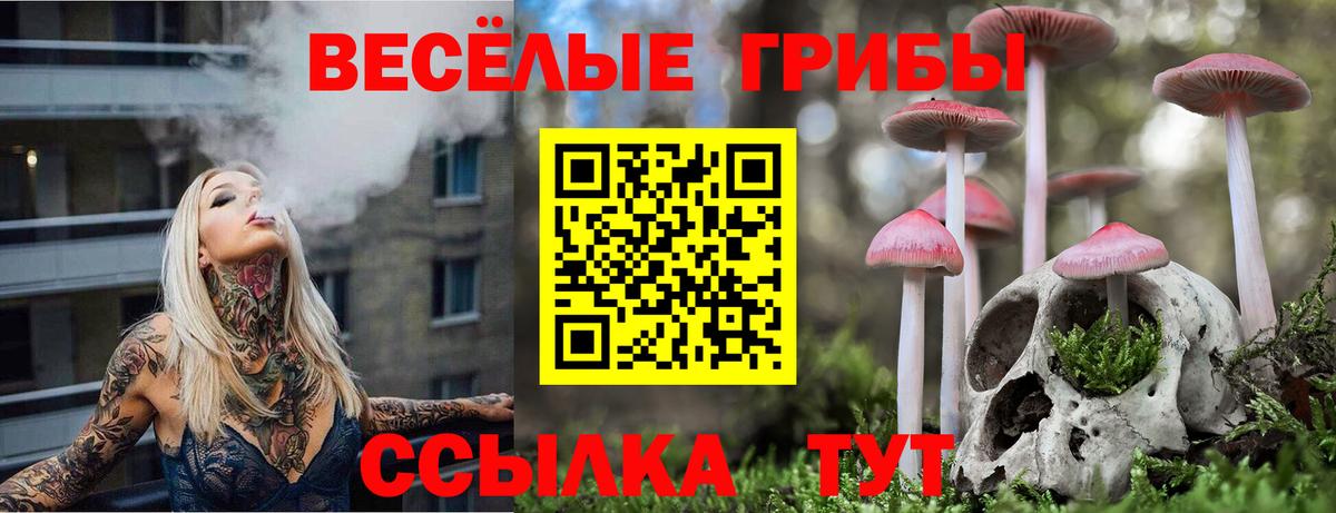 Псилоцибиновые грибы GOLDEN TEACHER Мелеуз