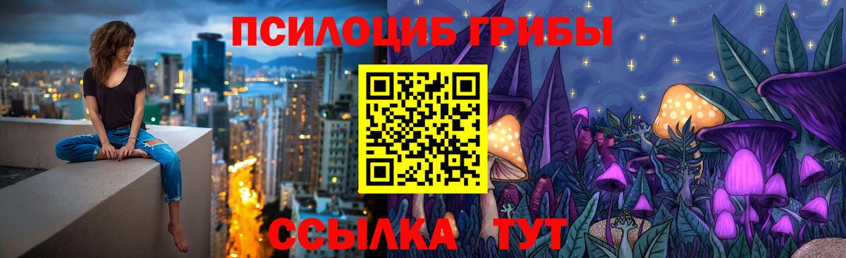 Галлюциногенные грибы Cubensis  Вход с VPN  Мелеуз 